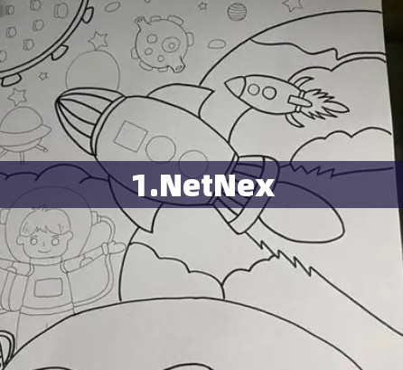 1.NetNex