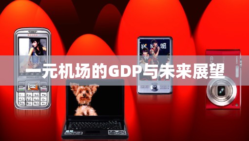 一元机场的GDP与未来展望