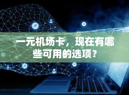 一元机场卡，现在有哪些可用的选项？