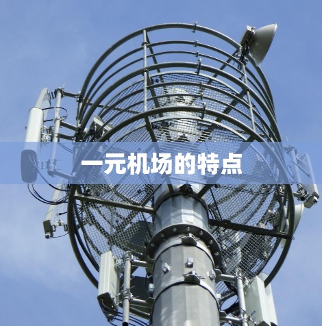 一元机场的特点 一元机场的特点