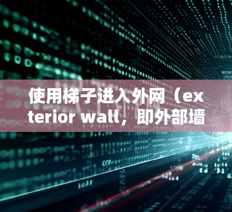使用梯子进入外网（exterior wall，即外部墙）是一个安全且有效的方法，只要操作正确，可以有效地进入结构。以下是一些步骤和注意事项，帮助您顺利进入外网
