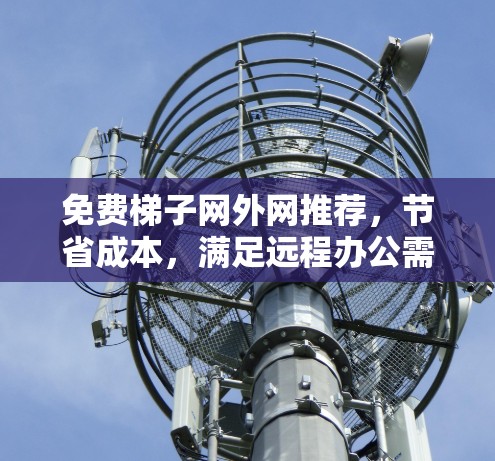 免费梯子网外网推荐，节省成本，满足远程办公需求