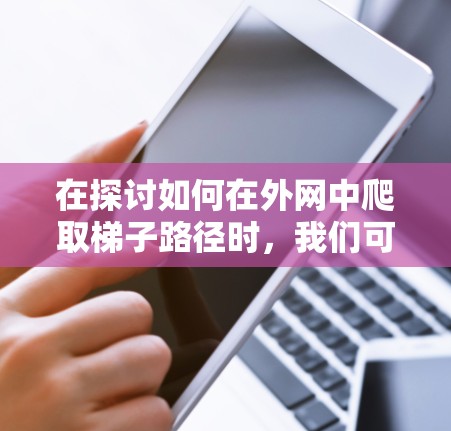 在探讨如何在外网中爬取梯子路径时，我们可以从以下几个方面进行分析和解决方案