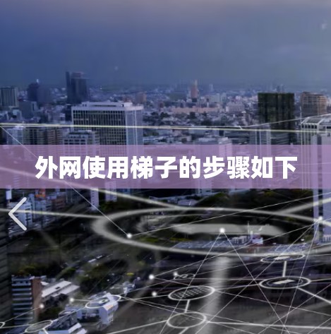 外网使用梯子的步骤如下