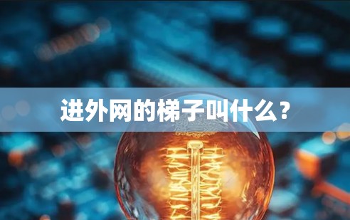进外网的梯子叫什么？