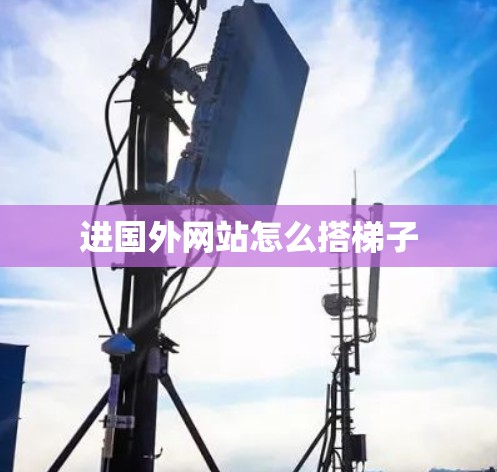 进国外网站怎么搭梯子