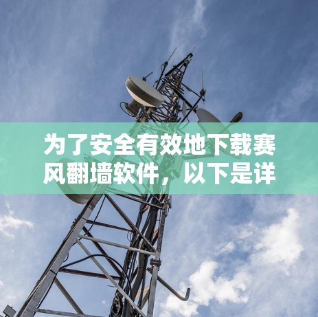 为了安全有效地下载赛风翻墙软件，以下是详细的步骤指南