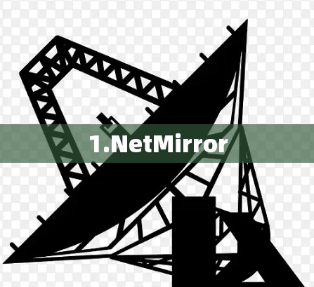 1.NetMirror