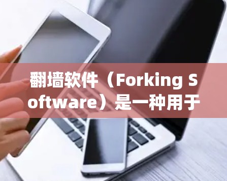 翻墙软件（Forking Software）是一种用于将视频或音频从一个网络设备转移到另一个设备的软件工具。它通常通过防火墙等技术来实现设备之间的数据传输。以下是关于翻墙软件的一些关键点和步骤