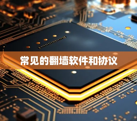 常见的翻墙软件和协议