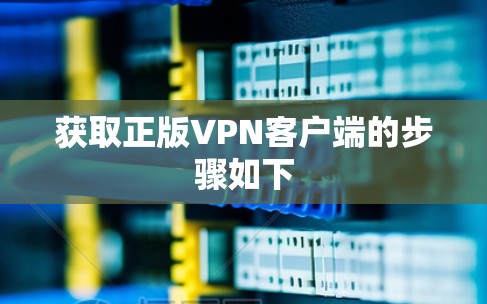 获取正版VPN客户端的步骤如下