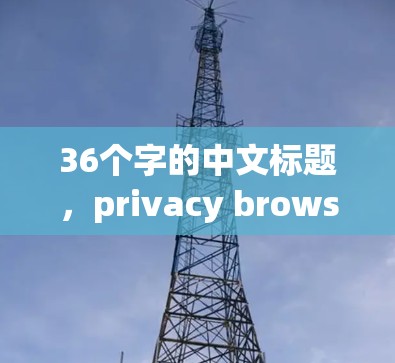 36个字的中文标题,privacy browsing in VPNs:the tech and privacy issues 36个字的中文标题,privacy browsing in VPNs:the tech and privacy issues