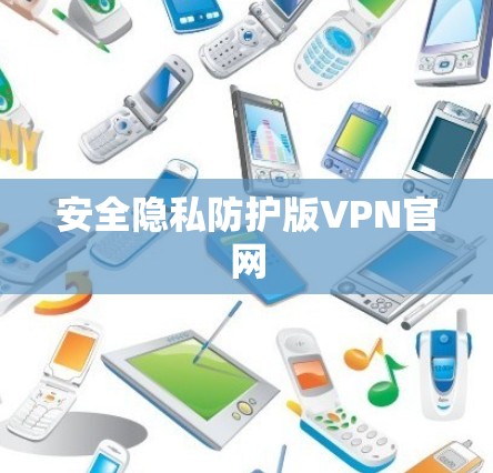 安全隐私防护版VPN官网