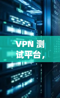 VPN 测试平台，保障安全的基石