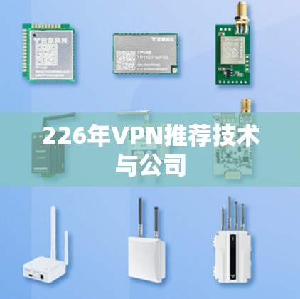 226年VPN推荐技术与公司