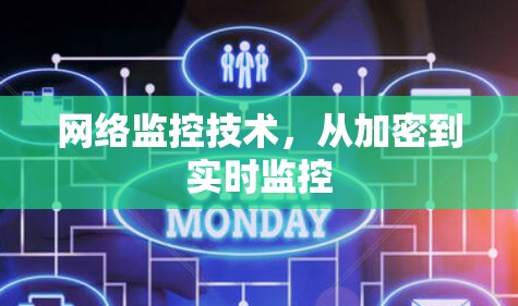 网络监控技术，从加密到实时监控