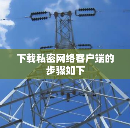 下载私密网络客户端的步骤如下