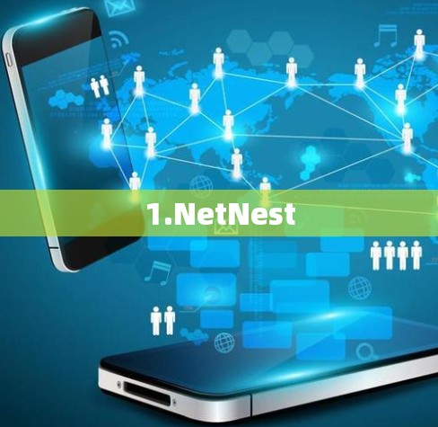 1.NetNest