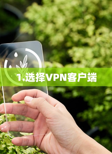 1.选择VPN客户端