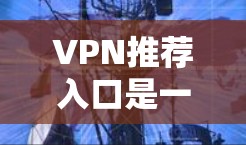 VPN推荐入口是一个非常重要的选择，因为VPN可以帮助你安全地访问互联网，避免被恶意软件攻击。以下是一些推荐的VPN入口，供你参考