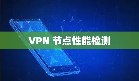 VPN 节点性能检测