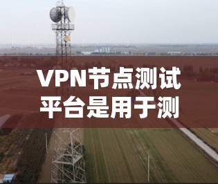 VPN节点测试平台是用于测试和验证VPN节点功能的工具，帮助开发者和用户确保VPN网络的可靠性和安全性。以下是对该主题的详细介绍
