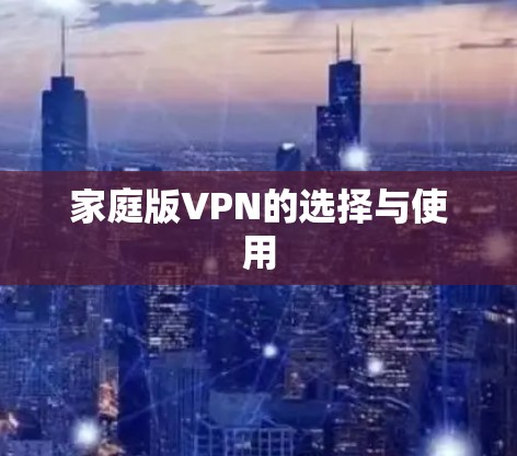 家庭版VPN的选择与使用
