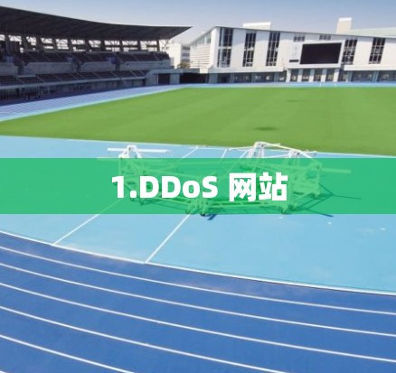 1.DDoS 网站
