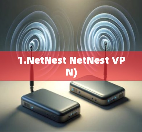 1.NetNest NetNest VPN)