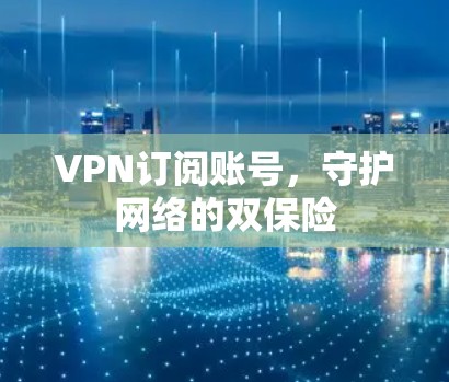 VPN订阅账号，守护网络的双保险