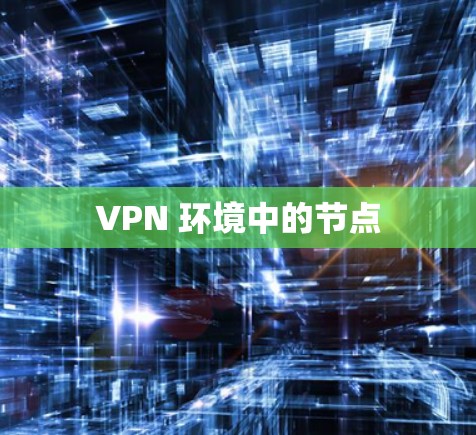 VPN 环境中的节点