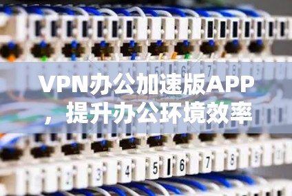 VPN办公加速版APP，提升办公环境效率的全能工具