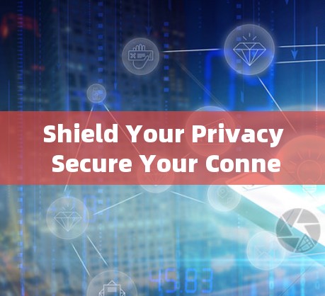 Shield Your Privacy Secure Your Connection