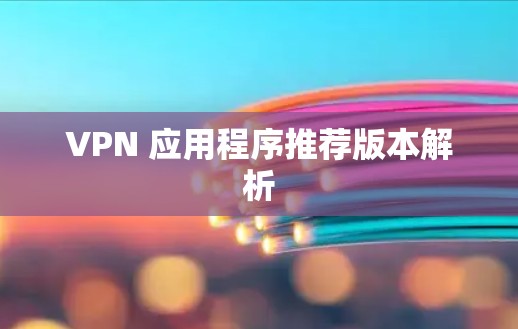 VPN 应用程序推荐版本解析
