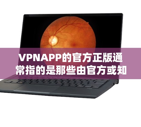 VPNAPP的官方正版通常指的是那些由官方或知名VPN服务提供商发行的软件。这些软件通常经过严格的安全审核和测试，确保其安全性和可用性。以下是几个常见的官方VPNAPP