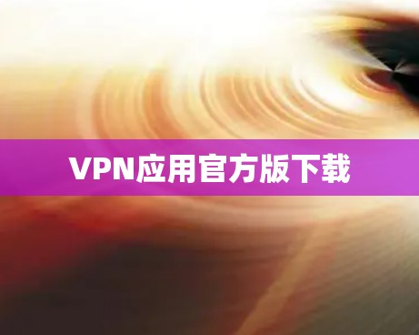 VPN应用官方版下载