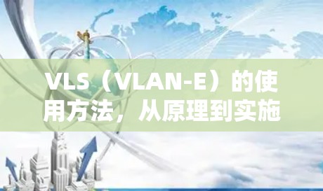 VLS（VLAN-E）的使用方法，从原理到实施