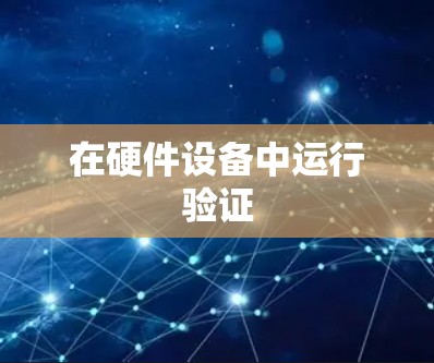 在硬件设备中运行验证