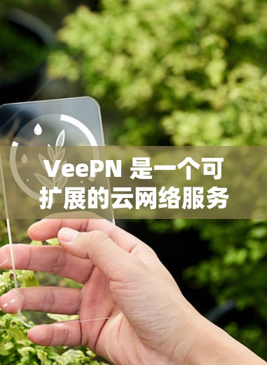 VeePN 是一个可扩展的云网络服务，支持 Windows、Mac 和安卓设备。以下是下载和安装 VeePN 的步骤