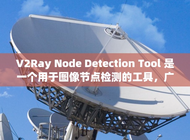 V2Ray Node Detection Tool 是一个用于图像节点检测的工具，广泛应用于医学和图像分析领域。以下是对该工具的详细总结