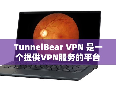 TunnelBear VPN 是一个提供VPN服务的平台，近年来因其技术创新和用户体验而受到关注。以下是对 TunnelBear VPN 的详细介绍和推荐