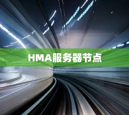 HMA服务器节点