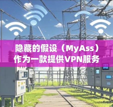 隐藏的假设（MyAss）作为一款提供VPN服务的平台，其功能和特点主要体现在以下几个方面