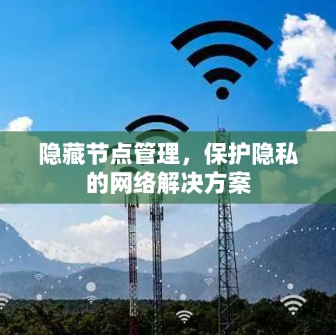 隐藏节点管理，保护隐私的网络解决方案