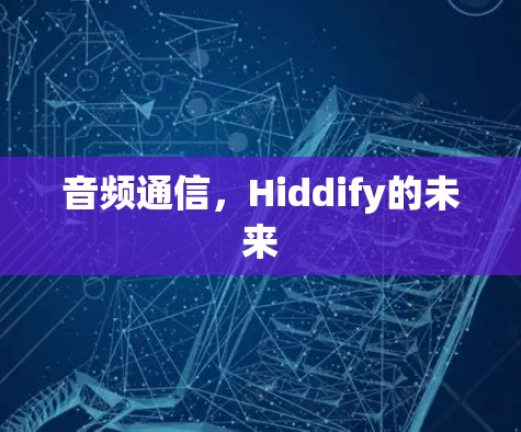 音频通信，Hiddify的未来
