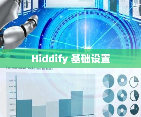Hiddify 基础设置