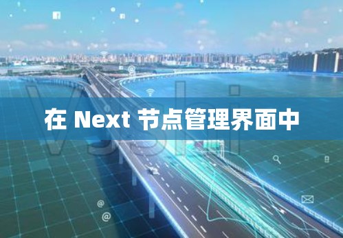 在 Next 节点管理界面中