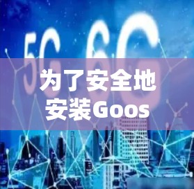 为了安全地安装GooseVPN客户端，您可以按照以下步骤操作