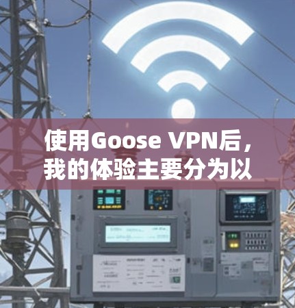 使用Goose VPN后，我的体验主要分为以下几点